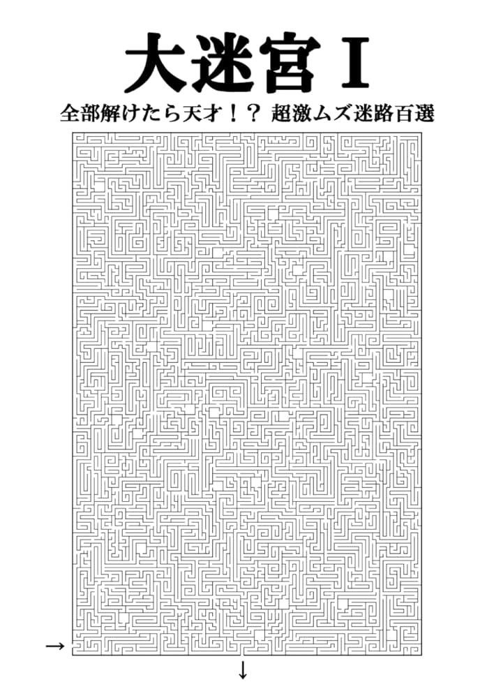Amazon.com: 大迷宮Ⅰ: 全部解けたら天才！？ 超激ムズ迷路百選